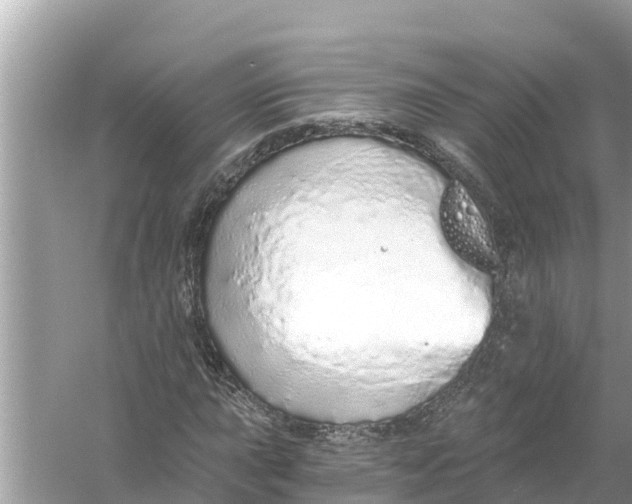 X0000056031015200509170031