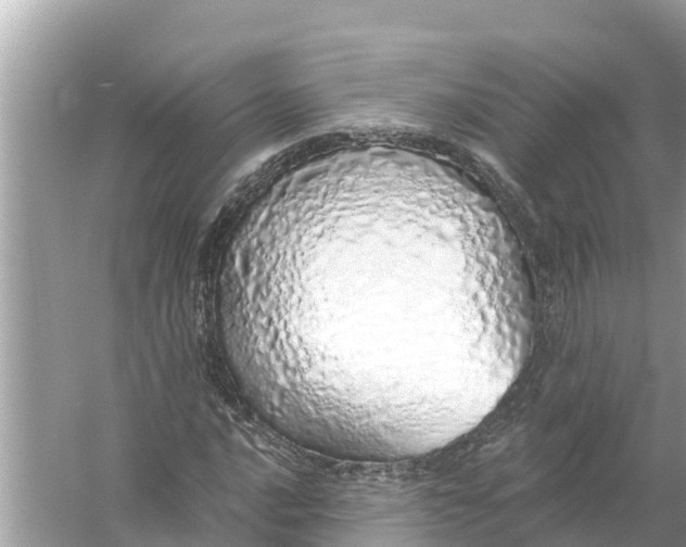 X0000056031016200509170031