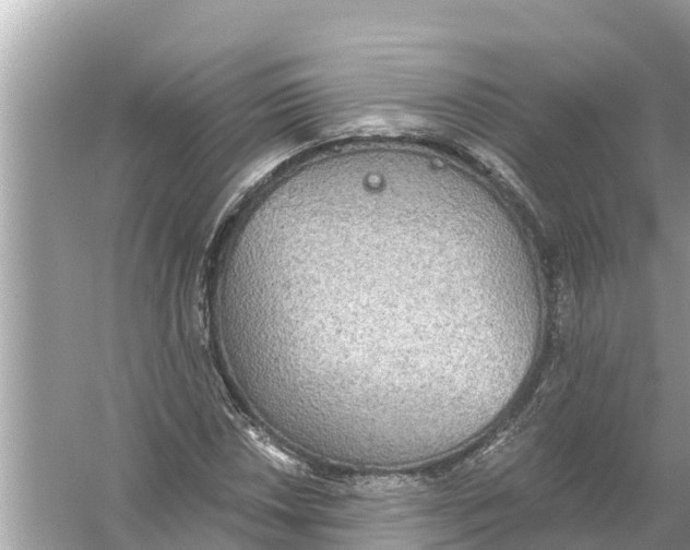 X0000056031018200509170031