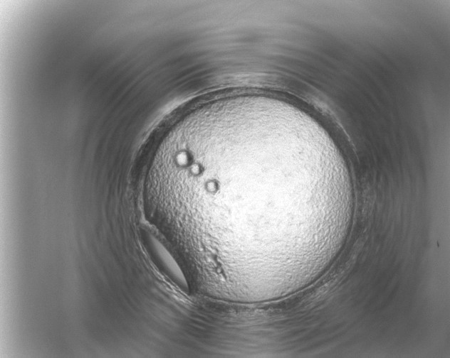 X0000056031019200509170031