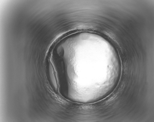 X0000056031021200509170031