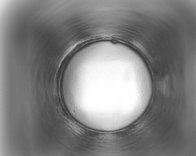 X0000056031023200509170031