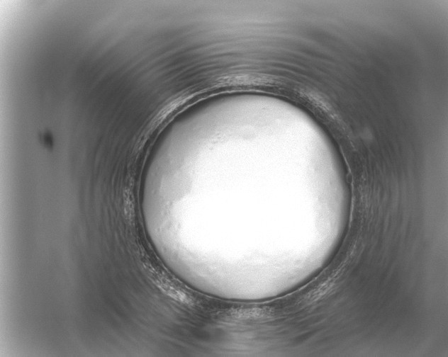 X0000056031025200509170031