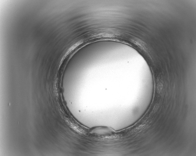 X0000056031026200509170031