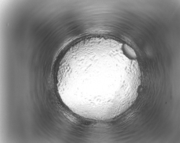 X0000056031027200509170031