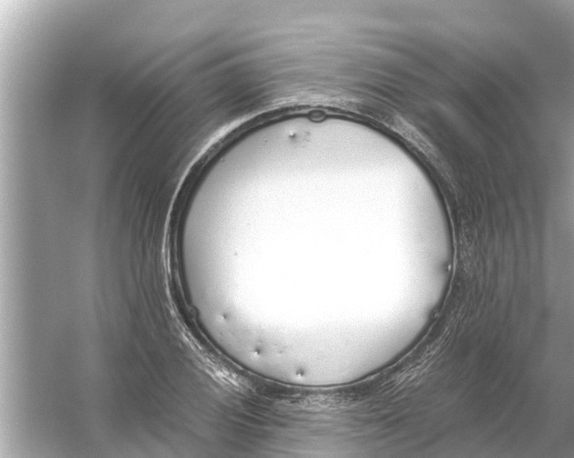 X0000056031028200509170031