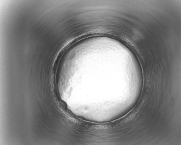 X0000056031029200509170031