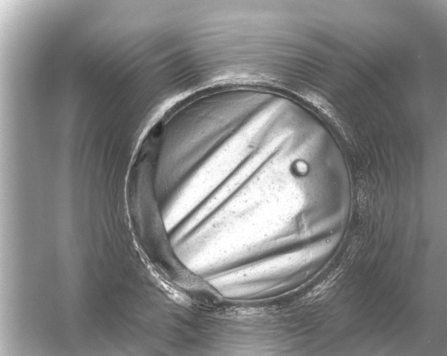 X0000056031030200509170031