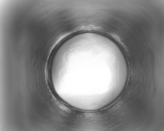 X0000056031032200509170031