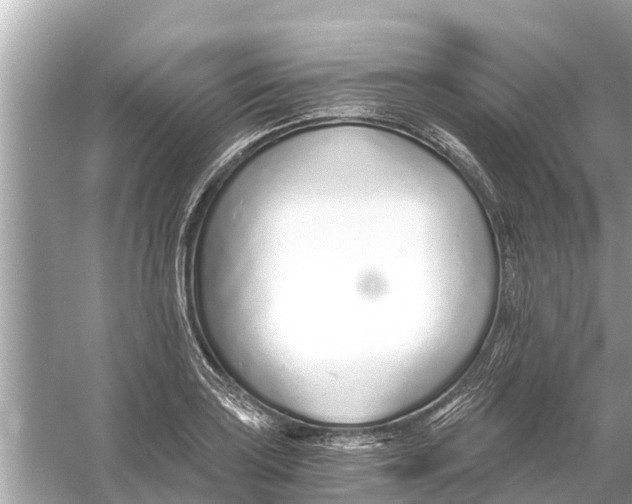 X0000056031035200509170031