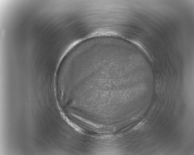 X0000056031038200509170031