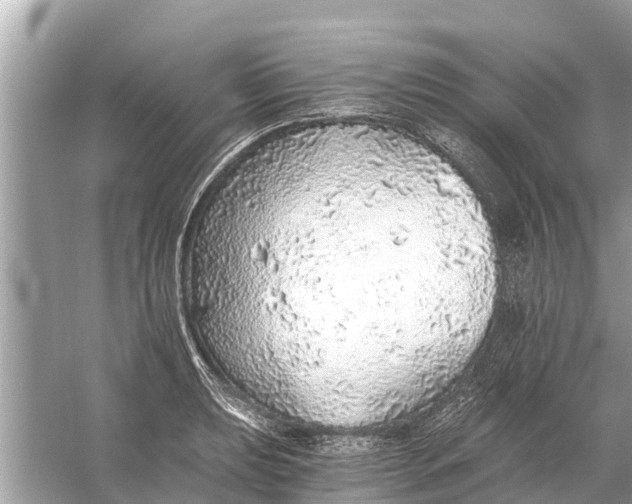 X0000056031039200509170031