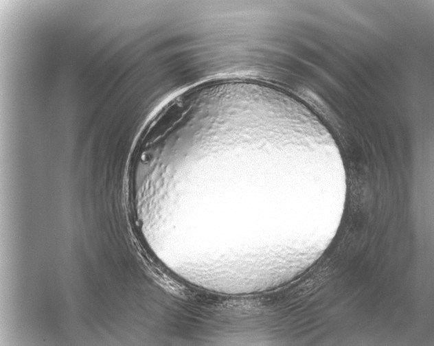 X0000056031044200509170031