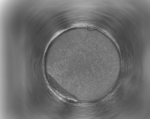 X0000056031045200509170031