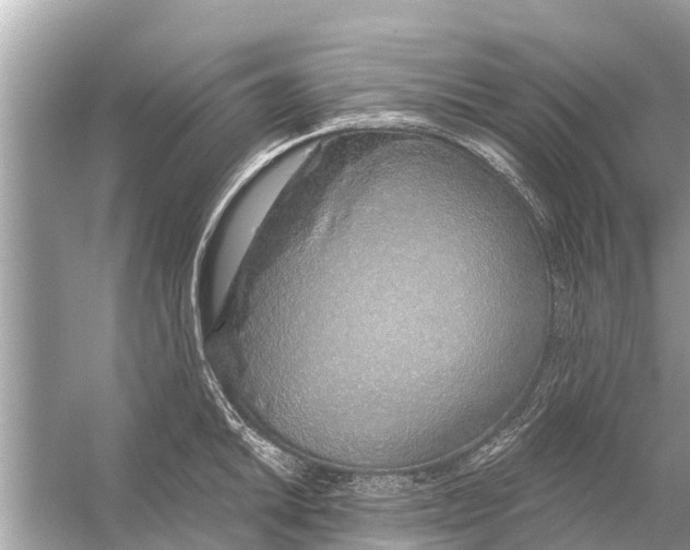 X0000056031046200509170031