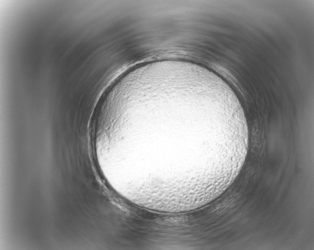 X0000056031047200509170031