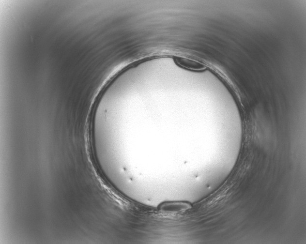 X0000056031048200509170031