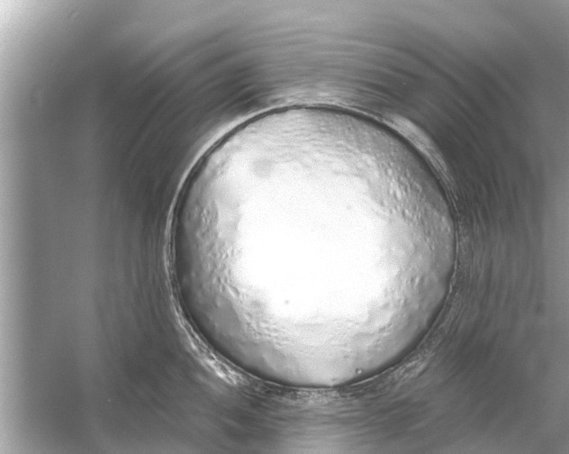 X0000056031052200509170031