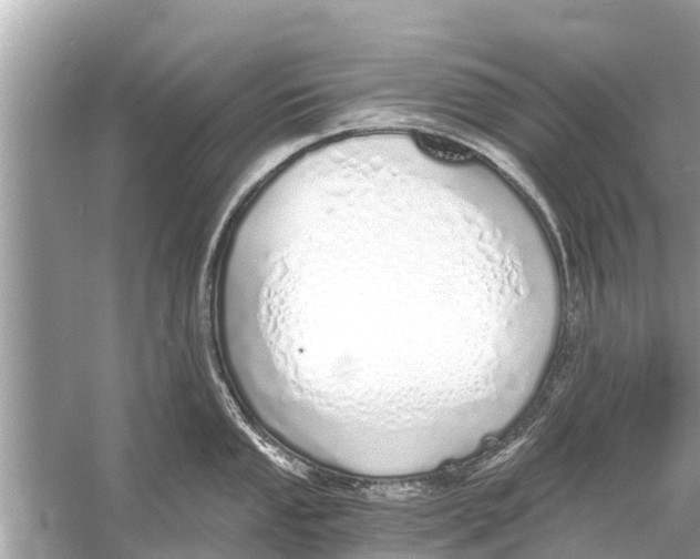 X0000056031053200509170031