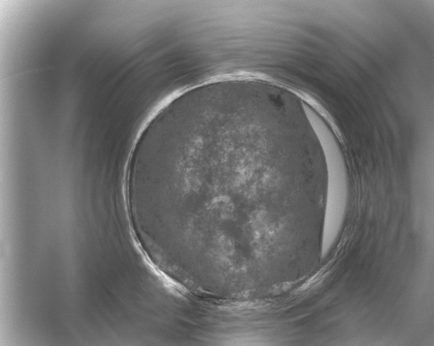 X0000056031054200509170031