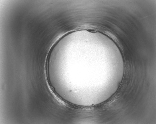 X0000056031055200509170031