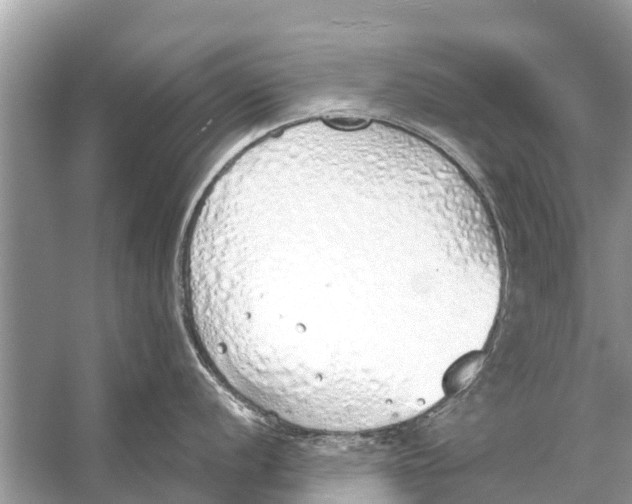 X0000056031056200509170031