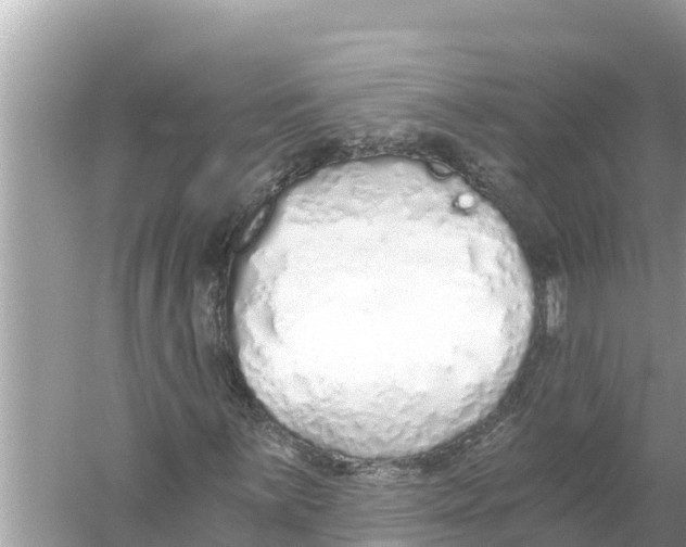 X0000056031059200509170030