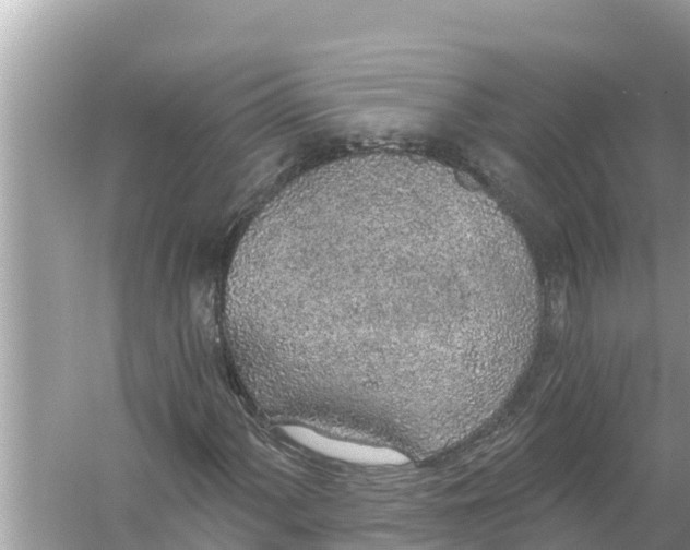 X0000056031060200509170030