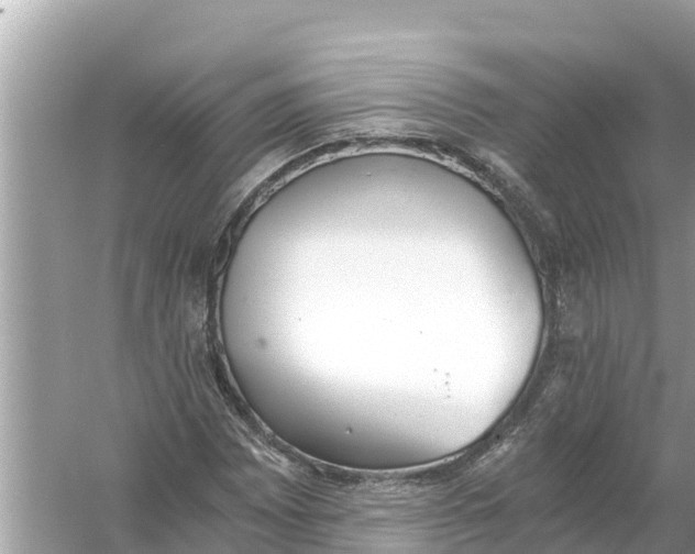 X0000056031065200509170030