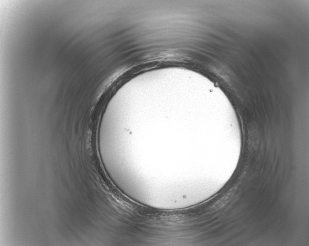 X0000056031066200509170030