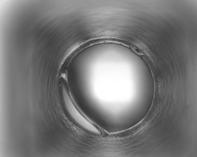 X0000056031069200509170030