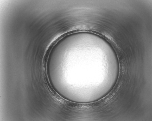 X0000056031070200509170030