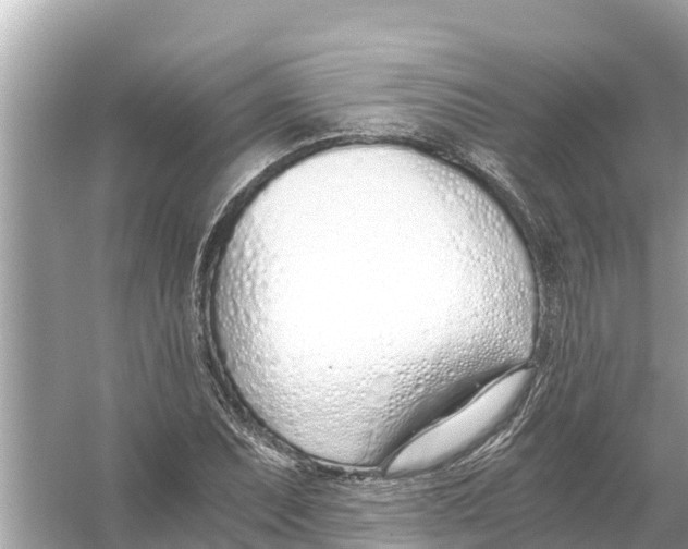 X0000056031071200509170030