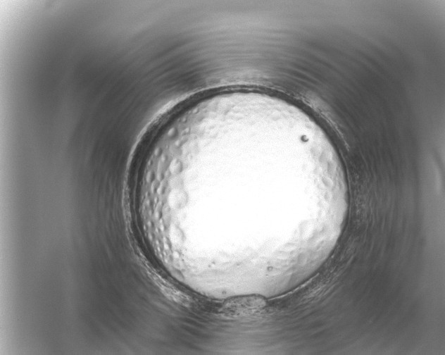 X0000056031072200509170030