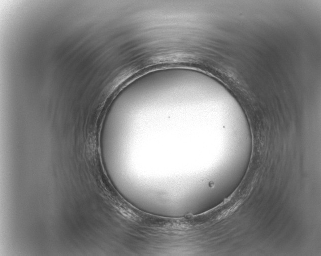 X0000056031073200509170030