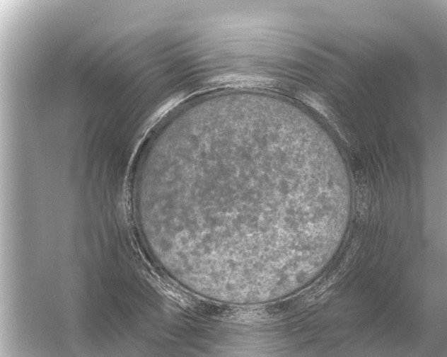 X0000056031074200509170030