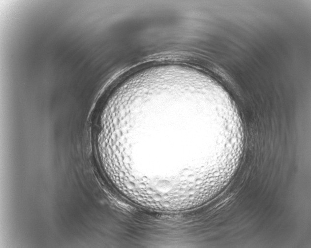 X0000056031075200509170030