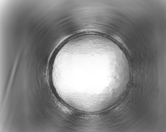 X0000056031076200509170030