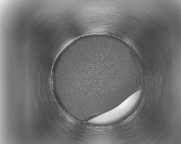 X0000056031077200509170030