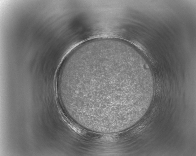 X0000056031078200509170030