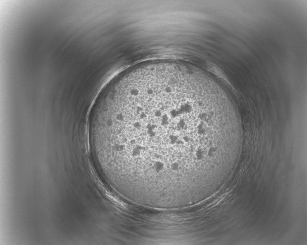 X0000056031079200509170030