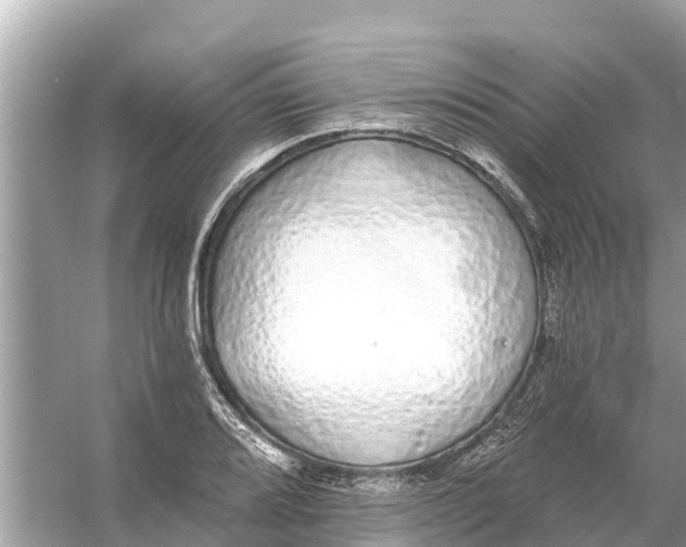 X0000056031080200509170030