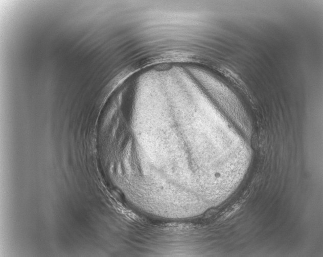 X0000056031081200509170030