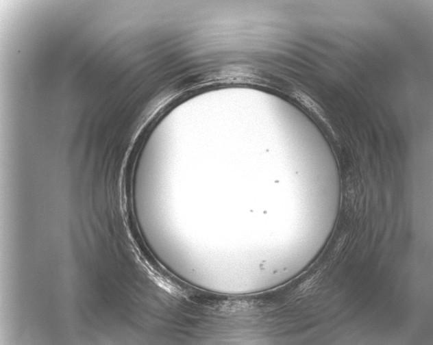 X0000056031082200509170030