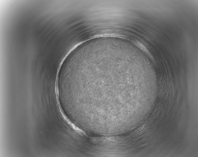 X0000056031084200509170030