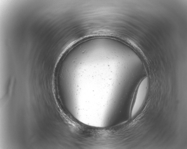 X0000056031085200509170030