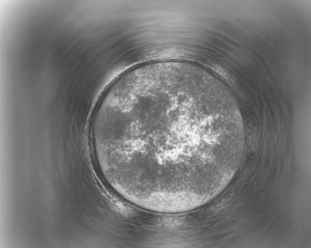 X0000056031086200509170030