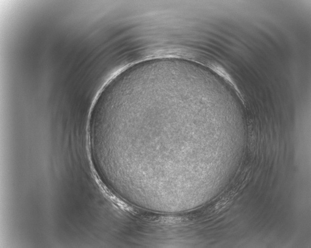 X0000056031088200509170030