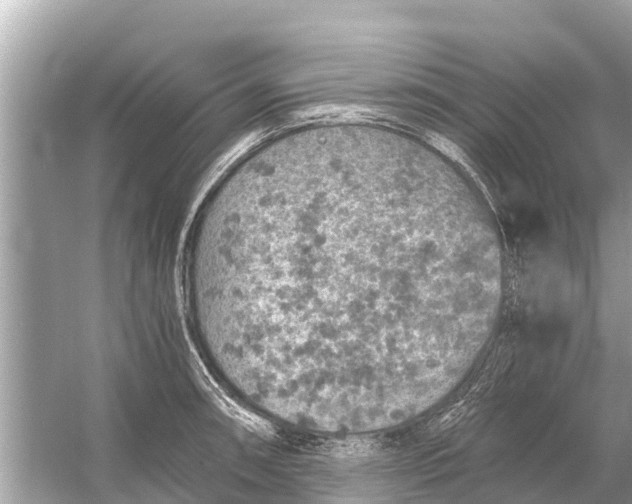 X0000056031090200509170030