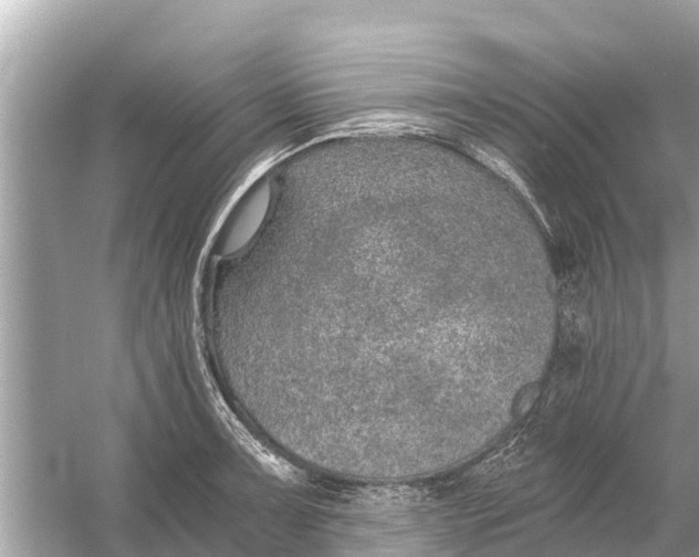 X0000056031091200509170030